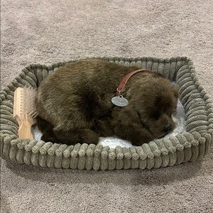 Kids Chocolate lab sleeping puppy Toy, bed, brush.